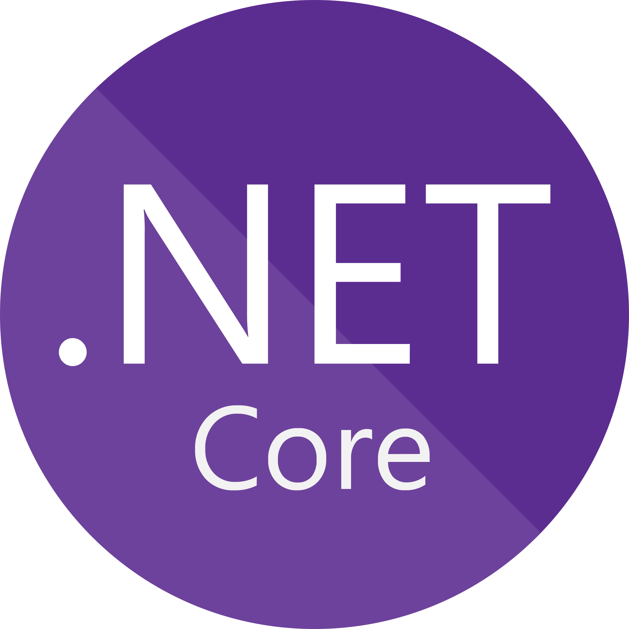 Hire Asp .NET Developer